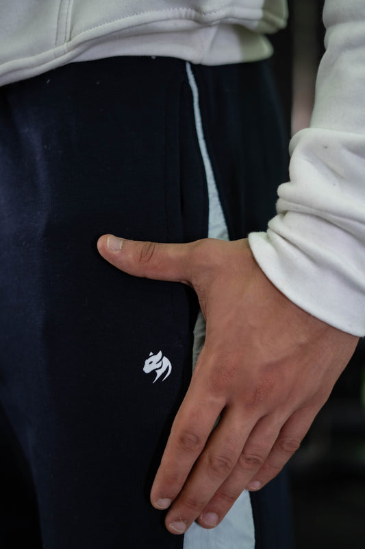 Blue v cut sweatpants